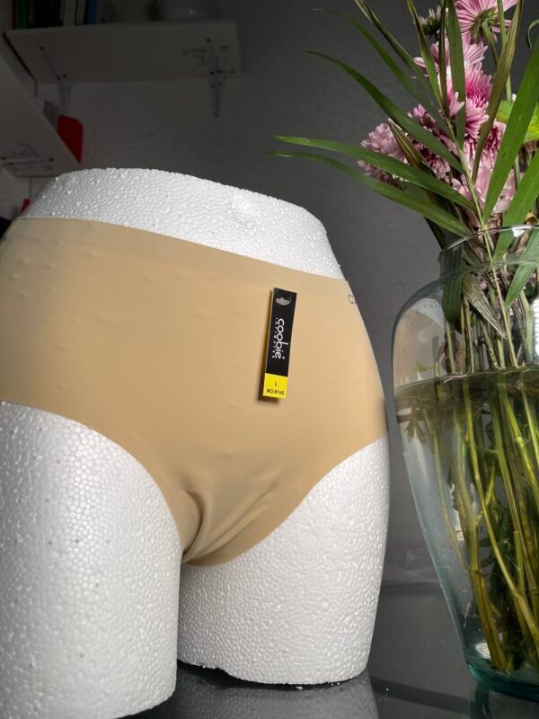 Panti cachetero